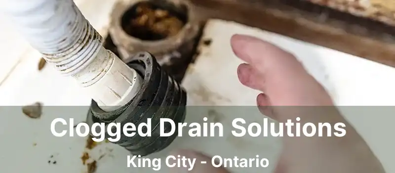  Clogged Drain Solutions King City - Ontario