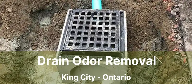  Drain Odor Removal King City - Ontario